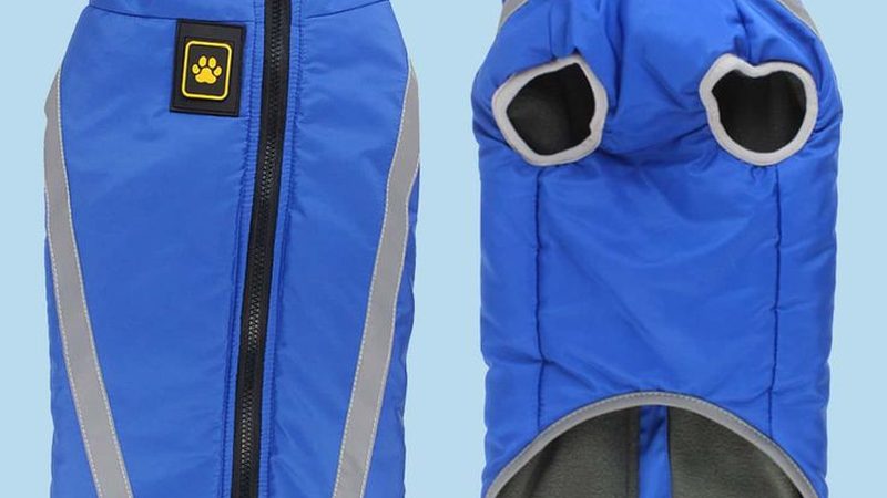 小型医用冷库：如何挑选优质产品**